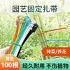 Abraçadeiras de Nylon Soltáveis, Retráteis e Destacáveis, Tiras Plásticas Coloridas para Jardinagem, Presilhas Reutilizáveis