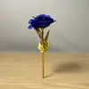 Flor Preservada Rosa con Pan de Oro Ramo Tallo Único Día de la Madre Cumpleaños Regalo Pequeño Creativo Navidad Regalo de San Valentín Transfronterizo