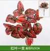 Paredes de Plantas Simuladas, Céspedes Artificiales, Decoraciones de Paredes Verdes con Plantas, Paredes de Fondo, Flores Artificiales, Césped Verde de Plástico Artificial al por Mayor