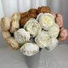 7 Cabezas Rosa de Rafia con Borde Quemado Estilo Ins Adornos de Decoración para Dormitorio Flores Artificiales Tela Cepillada Ramo de Rosas con Borde Quemado Venta al por Mayor