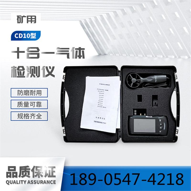 CD10十合一气体检测仪-