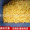 Mango congelado rápidamente, rebanada de mango en cubitos, decoración para pasteles, mango en cubitos, mango congelado, 10 kg