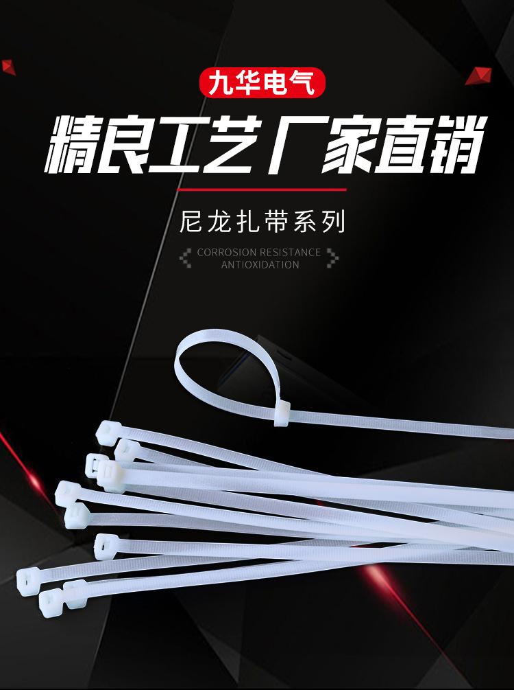 九华-尼龙扎带_01.jpg