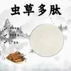 Polipeptídeo de Cordyceps Extrato de Cordyceps Matéria-Prima Grau Alimentício Proteína de Molécula Pequena Pó Peptídico Pó Solúvel em Água em Estoque com Frete Grátis