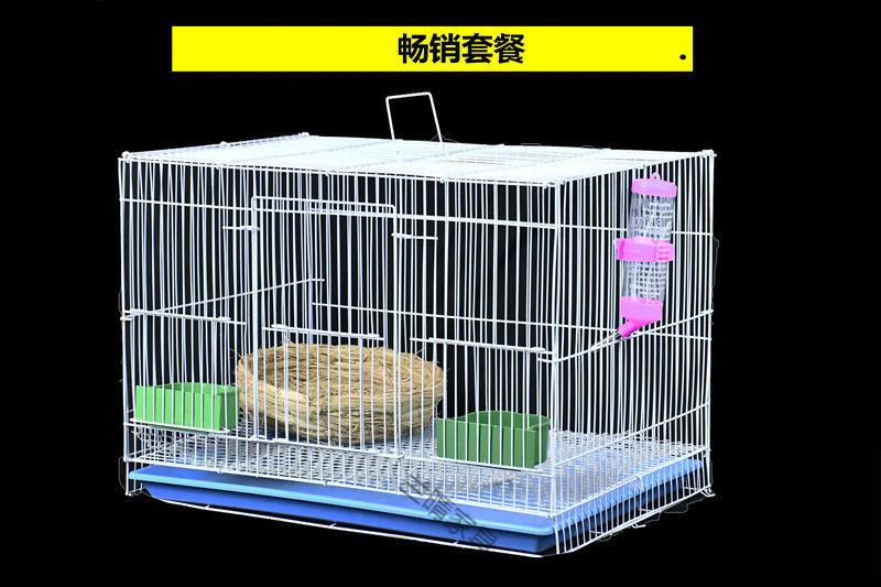 5d9c816f-cf9d-4709-b07e-01e8b1cc7533.jpe