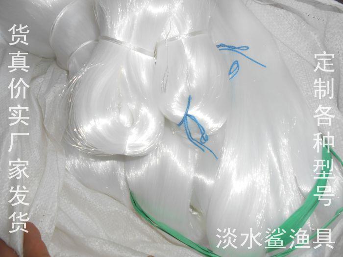 照片 091