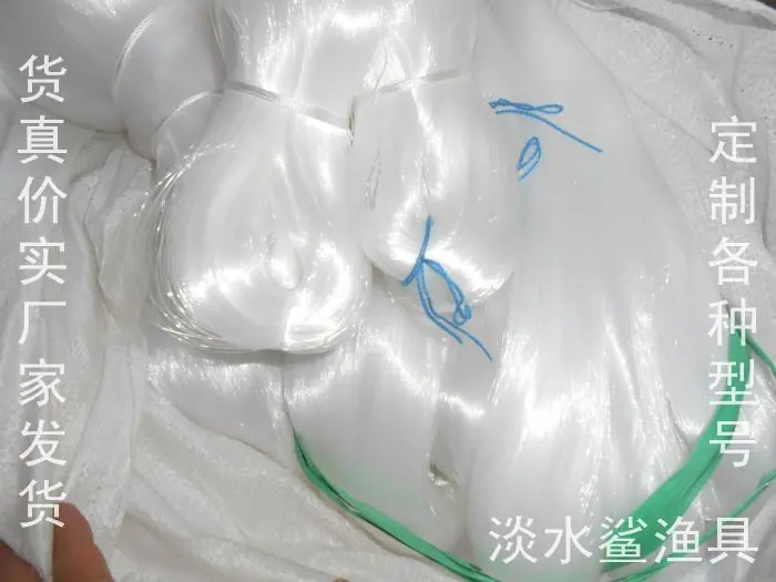 照片 091