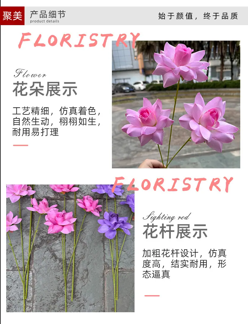 3头莱菲情人玫-详情_05.jpg