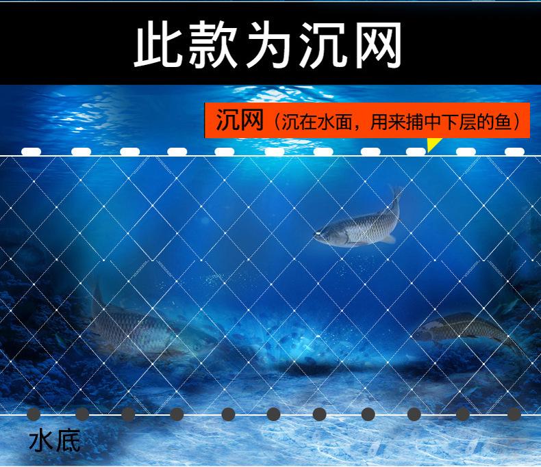 粘网_21.jpg