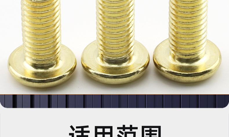 金色304不锈钢倒边十字螺丝_03_20.jpg