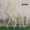 Ramas Secas, Ramas de Madera Natural, Ramas Secas Artísticas, Ramas Muertas, Troncos de Árbol, Formas de Árbol, Percheros de Pared, Decoraciones de Ramas para Techo