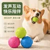 Juguete para perro, pelota de juguete de goma que hace ruido, pelota rebotante con huella de Teddy de Golden Retriever, pelota de juguete para mascotas