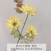 Simulação 3D Flor 3 Cabeça Xia Ju 2024 Fu Balde Arranjo de Flores Decoração Flor Falsa Casamento Decoração de Casamento Adereços Sol Crisântemo