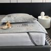Estilo Simple de Lujo Ligero Jacquard Hielo Carbón Esterilla de Seda de Hielo Lavable a Máquina Kang Bacteria Esterilla para Cama Estilo Ajustado Transpirable Juego de Tres Piezas