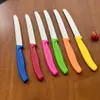Para Amazon transfronterizo cuchillo afilador de frutas de acero inoxidable pelador cuchillo pelador cortador de verduras con mango de plástico hogar ahora