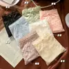 Bragas de Encaje Sexy y Lujosas para Mujer, Malla Semi-Transparente de Puro Deseo, Braguitas Triángulo Dulces y Transpirables para Mujer