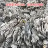 Piedra de Dragón Verde Encurtida Piedra de Jardinería Acuario Paludario Piedra Natural con Piedra de Árbol Rocalla de Patio Bonsái Piedra Cruda
