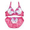 Nuevo sujetador japonés, conjunto de ropa interior de encaje, push up, talla grande, colección de pechos, sujetador sexy para mujer, pantalones T a juego