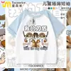 Camiseta Infantil de Manga Corta Mi Cuchillo y Escudo con Diseño de Cuchillo y Escudo para Verano, Adecuada para Niños Mayores, Camiseta Transpirable Raglán para Niños y Niñas, Top Versátil