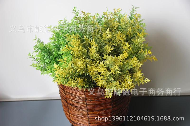 IMG_3196_副本