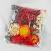 Pacote de Embalagem de Material de Flores Secas Transfronteiriço Pintura com Ventilador de Flores Secas Imortais Cartão de Cumprimentos Buquê Pequeno de Flores Secas DIY Feito à Mão