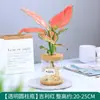 Plantas Hidropónicas Favoritas de los Agricultores Bonsái de Escritorio Plantas Verdes Planta Roja de la Suerte Plantas Pequeñas en Maceta Escritorio de Oficina Plantas Verdes Pequeñas Fáciles de Cuidar