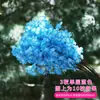 Ramas artificiales de flor de cerezo para decoración de bodas de hotel, árbol de flor de cerezo, flor de durazno, flores falsas de plástico, flores de seda, techo de sala de estar, enredadera de flores de balcón