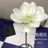 Plástico Flor de Lótus Real Folha de Lótus Paisagem Botão de Lótus Material Cenário de Lótus Restaurante Área Panorâmica Lagoa Cenário de Lótus Flor Artificial Material Paisagismo