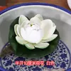 Flores y Hojas de Loto Artificiales para Ofrendar a Buda, Flotantes en el Agua en Estanques, Peceras y Cuerpos de Agua, Hojas de Loto Falsas Decorativas, Accesorios para Danza