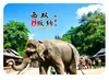 Ímã de Geladeira de Vidro Cenário de Xishuangbanna Jardim da Nacionalidade Dai Praça do Jogo de Água Salpicada Estilo Dai Salão Antigo Lembrança Turística Magnético