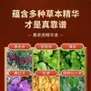 Aceite Esencial Personalizado de Ligustrum Lucidum, Raspado de Hombro, Cuello, Columna Cervical, Cintura y Espalda, Aceite Esencial de Masaje Calefactor, Aceite Medicinal para Dragado y Conservación de la Salud Oem