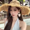 Aretes de Girasol Estilo Vacaciones Hawaianas de la Tarde Té de Durazno Exagerados para Fotos de Viaje en la Playa para Mujeres