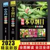 Fina Recopilación de Medicina Herbal China Espectro de Color Primario Genuina Farmacopea China Atlas Completo de Medicina Herbal China Libros de Medicina China