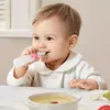 Alimentador de Suplemento Alimentar de Silicone para Bebês e Crianças Pequenas, Mamadeira Tipo Squeeze para Cereal de Arroz, Ventosa, Colher Macia Anti-Queda, Mamadeira Tudo-em-Um