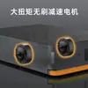 Robô de Transporte Inteligente AGV com Capacidade de Carga de 300kg, Controlado por Computador, Veículo de Transporte de Mercadorias Pesadas Bidirecional Não Tripulado com Navegação Magnética