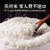 Arroz Perfumado Marfim Pacote 10kg Maturação Tardia Grão Longo Arroz Novo Arroz Perfumado Dente de Gato Atacado