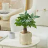 Forma Ins Escandinava Forma Jiuli Planta Verde Fragrante em Vaso Florais Decorações de Mesa de Escritório para Purificar o Ar