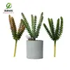 Simulación planta suculenta súper grande tamaño pequeño suculenta bonsái planta verde flor de plástico en maceta micro paisaje con pared vegetal