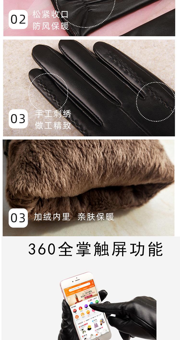 双长城花详情图_03