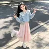 Conjunto de Duas Peças Moda Outono/Inverno 2026: Blusa Doce e Fofa de Manga Longa para Dama com Saia de Laço