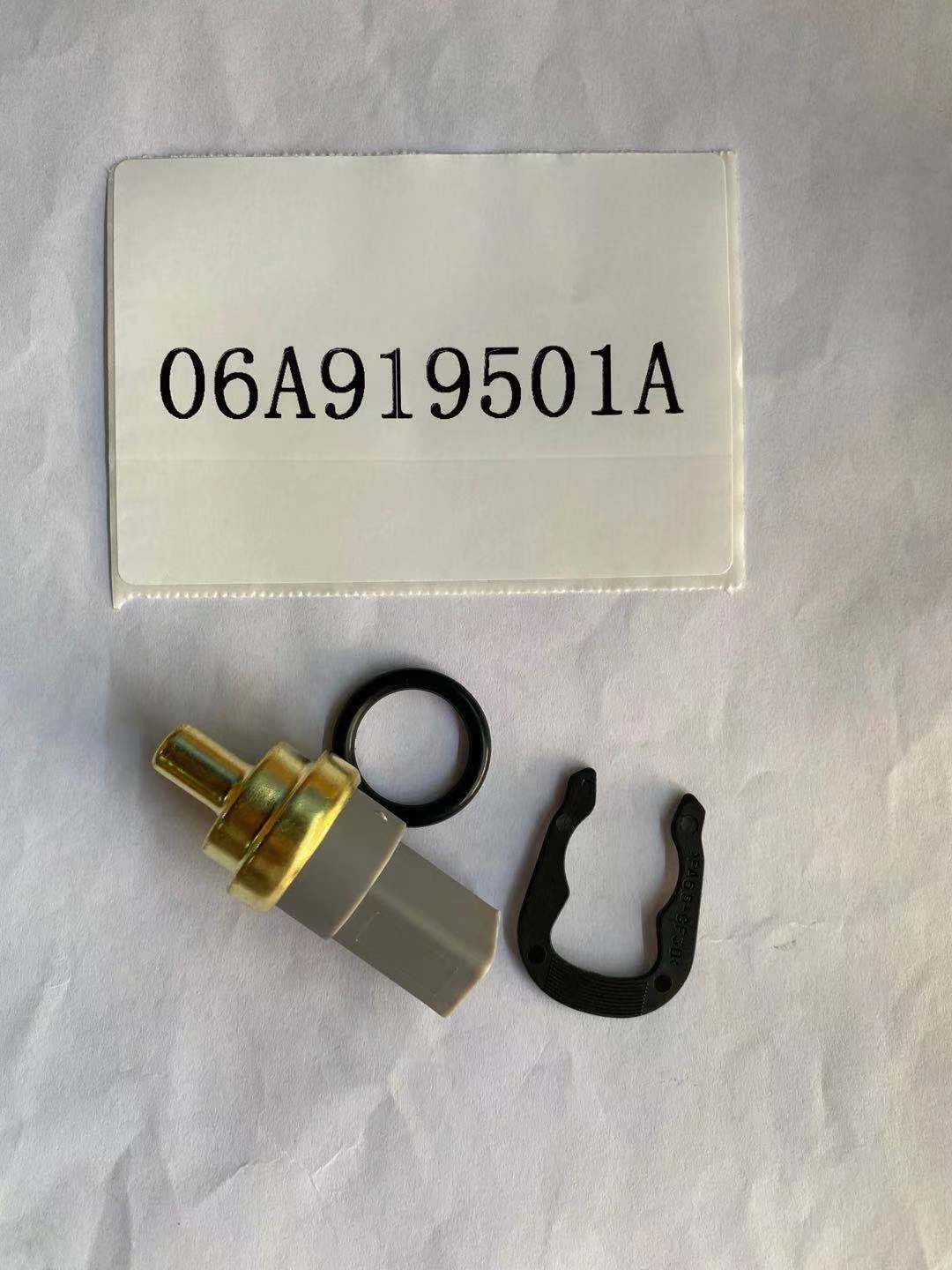 06A919501A 2