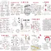 Variedad de Pegatinas de Ciencia Popular sobre Conocimiento de Salud y Bienestar de la Medicina China, Manual, Cuaderno para Teléfono Móvil, Pegatinas Decorativas para Taza de Agua