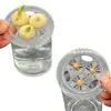 Maceta Hidropónica Plástico Botella de Vidrio Tipo Universal Cesta de Plantación Semillas de Verduras Bulbos de Semilla Boca de Botella Fixador Cónico