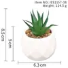 Suculenta Planta Taça de Diamante Bonsai Decoração Casa Escritório Es1178-4 Paisagem em Microfibra Aveludada Mini Alta Simulação