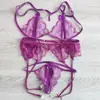 Lingerie Erótica Plus Size, Estilo Sexy de Três Peças, Sutiã e Calcinha de Renda Transparente, Sedutor Conjunto de Duas Peças