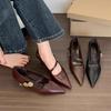 Zapatos Mary Jane Versátiles de Tacón Bajo para el Trayecto Diario, Zapatos de Tacón de Aguja con Punta Francesa para Mujer, Nuevo Estilo Primavera y Otoño 2025 con Elegante