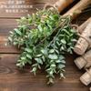 Cross-border seis camadas de eucalipto cabo curto cacho flor artificial flor artificial planta verde atacado artesanato decorativo yd479