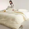 2026 Nuevo Suave Cómodo Amigable con la Piel Transpirable Puff Pupu Lyocell Tejido de Soya Colcha Edredón Relleno de Edredón Otoño/Invierno