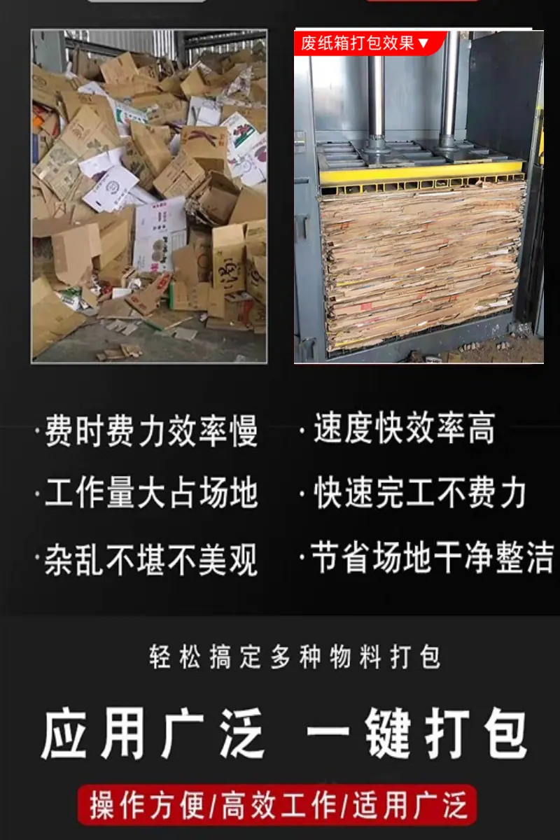 详5 (4).jpg