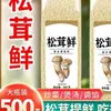 Sustituto Fresco Auténtico de Matsutake para Esencia de Pollo y Sal, Sin Aditivos, Delicioso y Saludable Polvo de Hongo Vegetal, Nuevo Condimento de Dátil